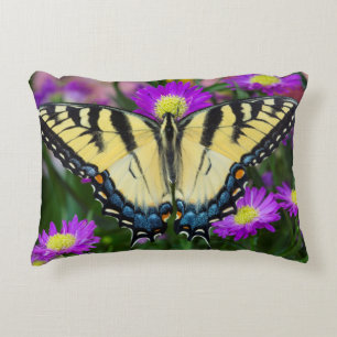 Swallowtail Butterfly on daisy Decorative Pillow