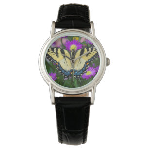 Swallowtail Butterfly on daisy Watch