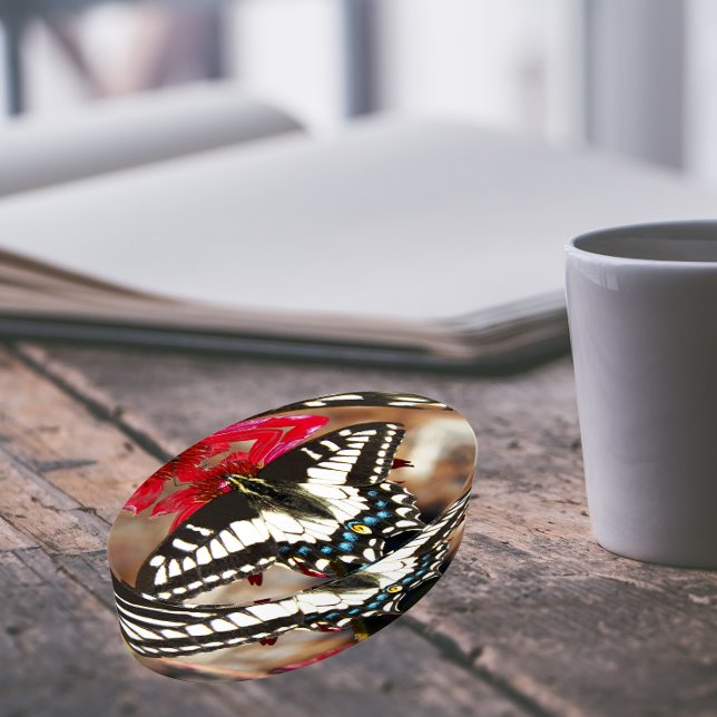 Swallowtail Butterfly on Flower Nature Photo Paperweight (In Situ)