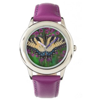 Swallowtail Butterfly on purple Watch