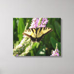 Swallowtail Butterfly on Purple Wildflowers Canvas Print