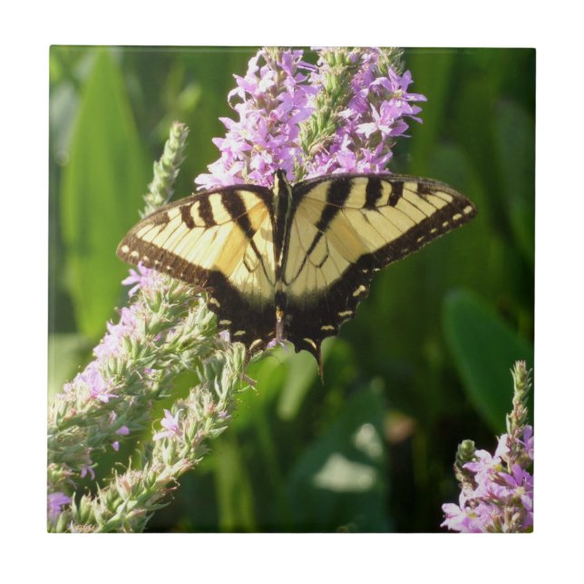 Swallowtail Butterfly on Purple Wildflowers Ceramic Tile (Front)