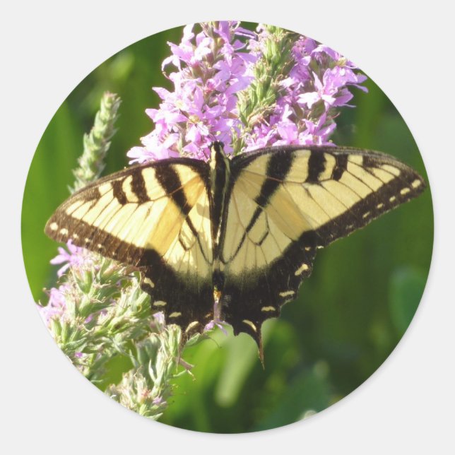 Swallowtail Butterfly on Purple Wildflowers Classic Round Sticker (Front)
