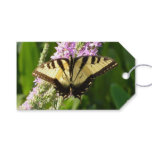 Swallowtail Butterfly on Purple Wildflowers Gift Tags