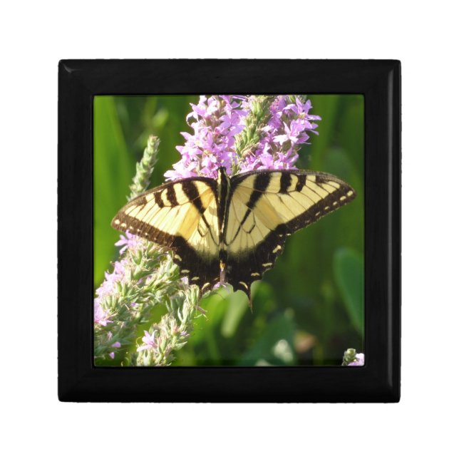 Swallowtail Butterfly on Purple Wildflowers Jewelry Box (Front)