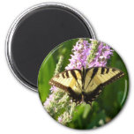 Swallowtail Butterfly on Purple Wildflowers Magnet