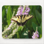 Swallowtail Butterfly on Purple Wildflowers Mouse Pad