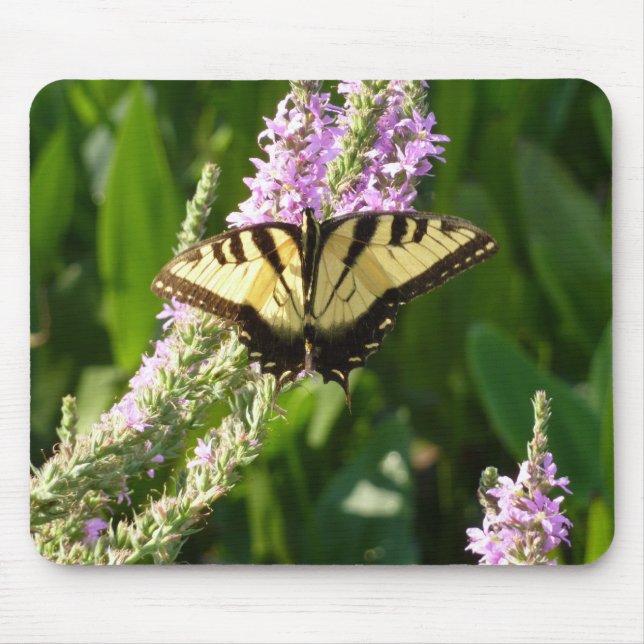 Swallowtail Butterfly on Purple Wildflowers Mouse Pad (Front)