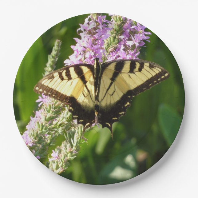 Swallowtail Butterfly on Purple Wildflowers Paper Plates (Front)