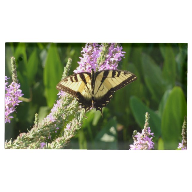Swallowtail Butterfly on Purple Wildflowers Place Card Holder (Front)