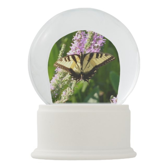 Swallowtail Butterfly on Purple Wildflowers Snow Globe (Front)