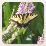 Swallowtail Butterfly on Purple Wildflowers Square Paper Coaster