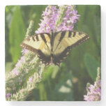 Swallowtail Butterfly on Purple Wildflowers Stone Coaster