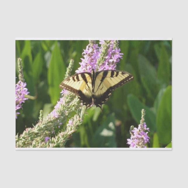 Swallowtail Butterfly on Purple Wildflowers Tissue Paper (Front)