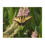 Swallowtail Butterfly on Purple Wildflowers Wood Wall Decor