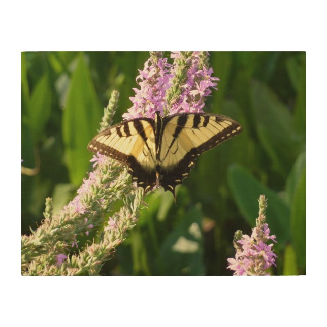 Swallowtail Butterfly on Purple Wildflowers Wood Wall Decor (Front)