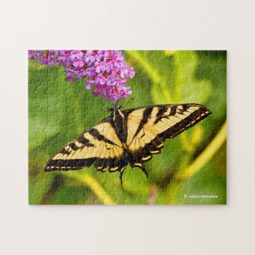 Swallowtail Butterfly on the Butterfly Bush Jigsaw Puzzle