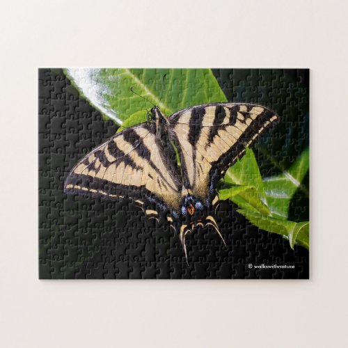 Swallowtail Butterfly on the Laurel Bush Jigsaw Puzzle