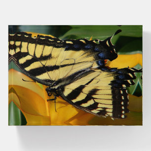Swallowtail Butterfly Paperweight