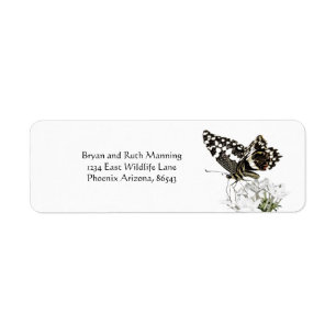 Swallowtail Butterfly Perched in white Label