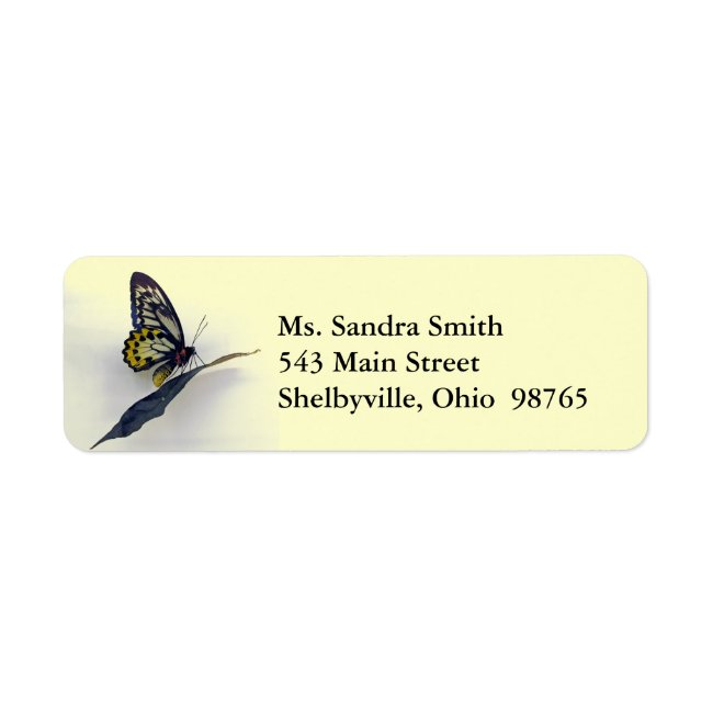 Swallowtail Butterfly Return Address Labels