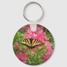 Swallowtail Butterfly Sits on Pink Azaleas