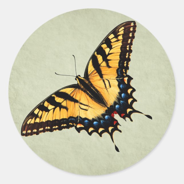 Swallowtail Butterfly Sticker (Front)