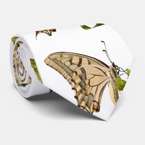 Swallowtail Butterfly Vector Isolated Neck Tie