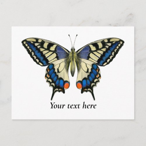 Swallowtail Butterfly Watercolor Painting Postcard
