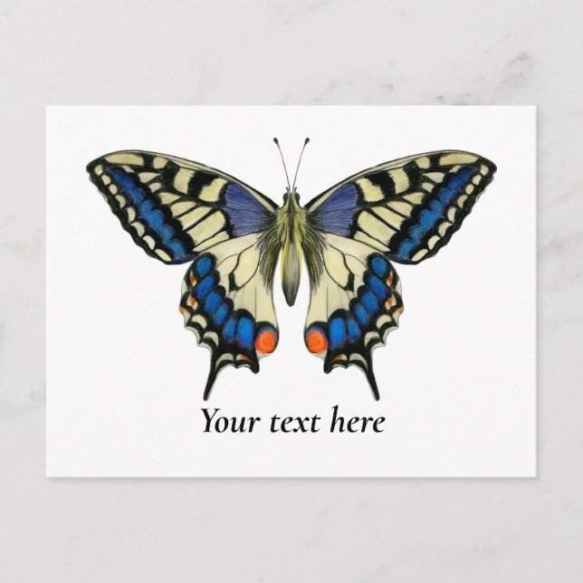 Swallowtail Butterfly Watercolor Painting Postcard (Front)