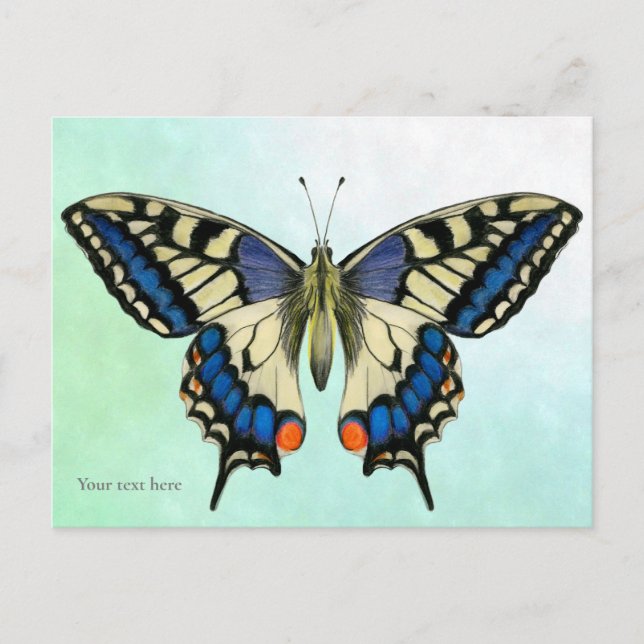 Swallowtail Butterfly Watercolor Painting Postcard (Front)