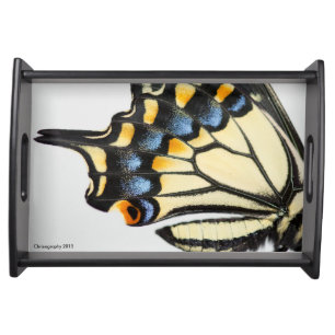 Swallowtail butterfly wing serving tray home decor