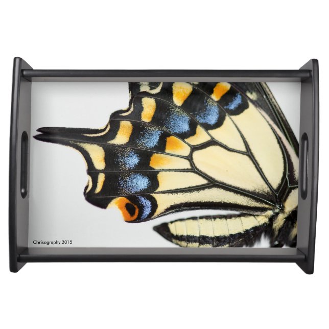 Swallowtail butterfly wing serving tray home decor (Front)