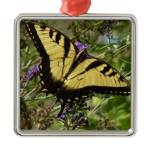 Swallowtail on Butterfly Bush Metal Ornament