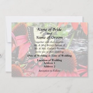 Swallowtail on Red Coneflower Invitation