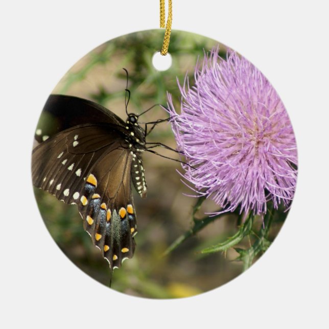 Swallowtail on Thistle Ceramic Ornament (Front)