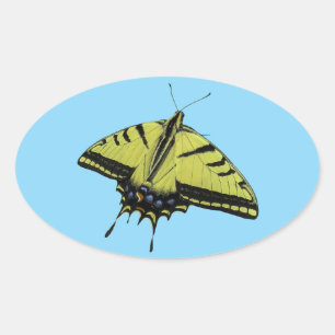 Swallowtail Western Tiger butterfly tail colors Oval Sticker