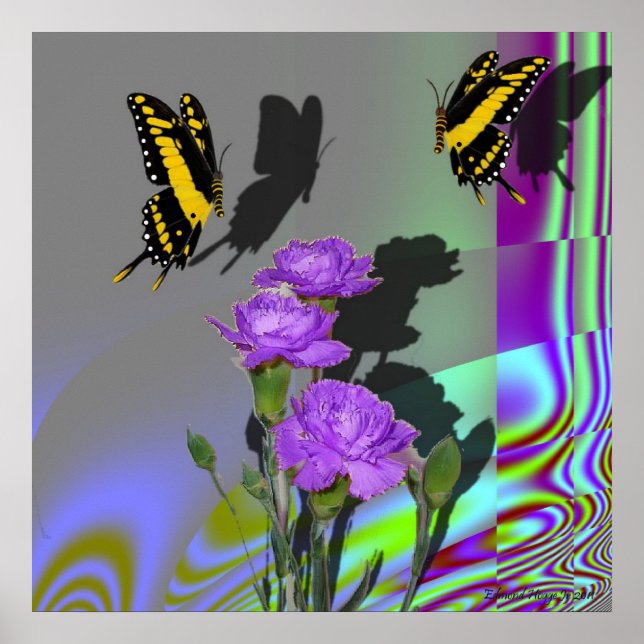 Swallowtails and Carnations Print (Front)