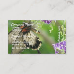 Swallowtal Butterfly Business Cards