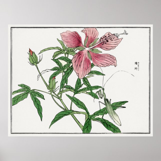 Swamp Mallow with Praying Mantis, Morimoto Toko, Poster (Front)