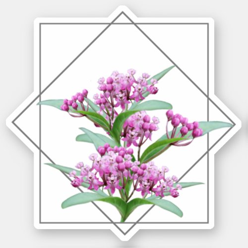 Swamp Milkweed Asclepias Incarnata Pink Flower Sticker