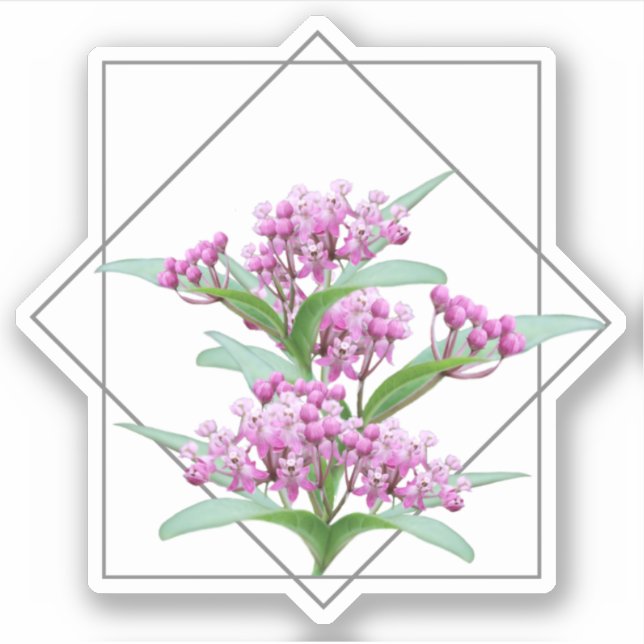 Swamp Milkweed Asclepias Incarnata Pink Flower Sticker (Front)