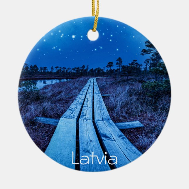 Swamp night ceramic ornament (Front)