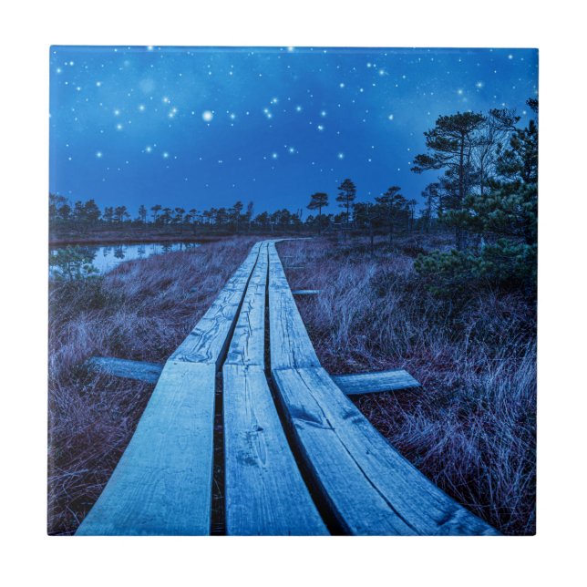 Swamp night ceramic tile (Front)