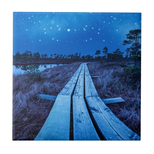 Swamp night ceramic tile (Front)