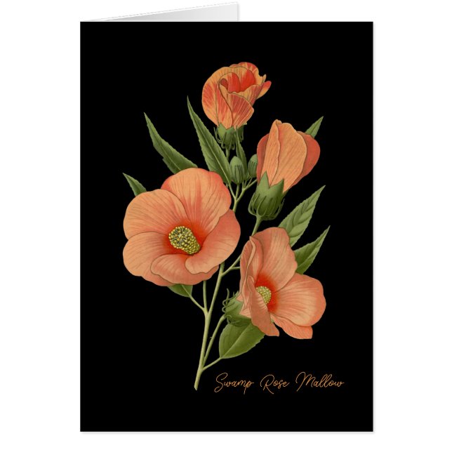 Swamp Rose Mallow Blank  Cards (Front)