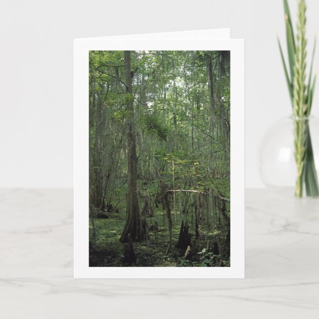 Swamp Serenity Custom Louisiana Greeting Cards (Front)