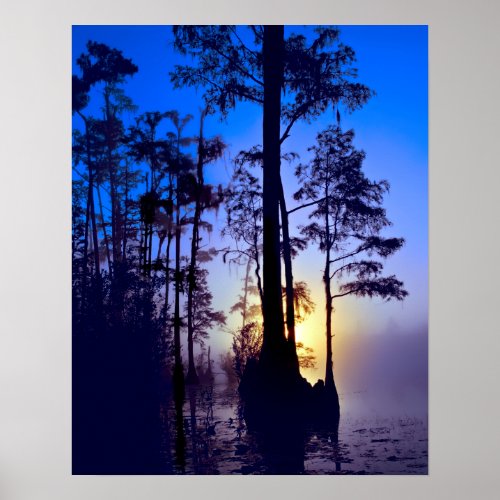 SWAMP TWILIGHT POSTER