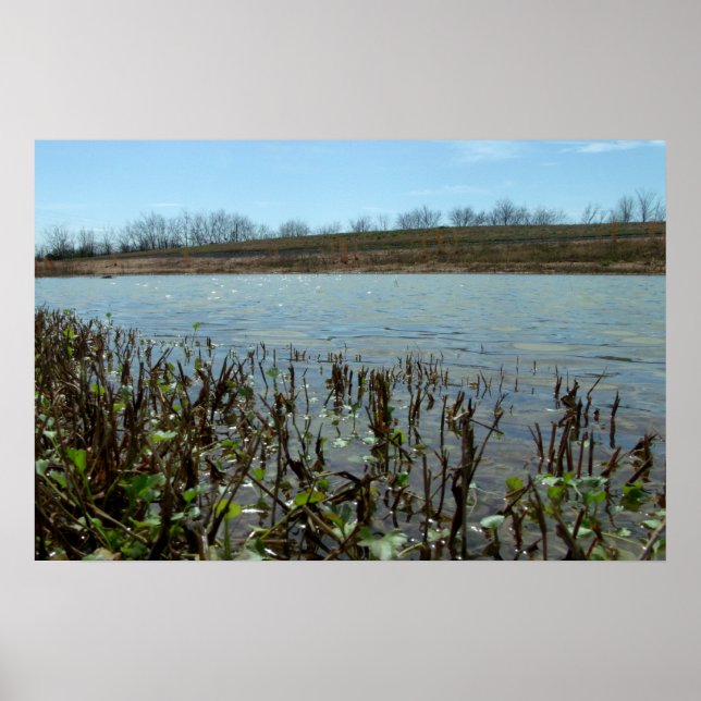 Swampy Scape Poster (Front)