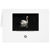 Swan (Back Horizontal)
